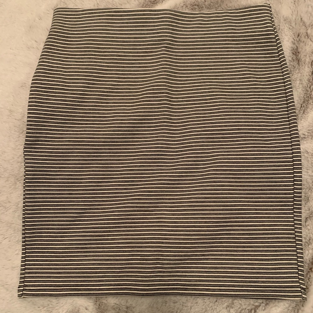 Bodycon Skirt